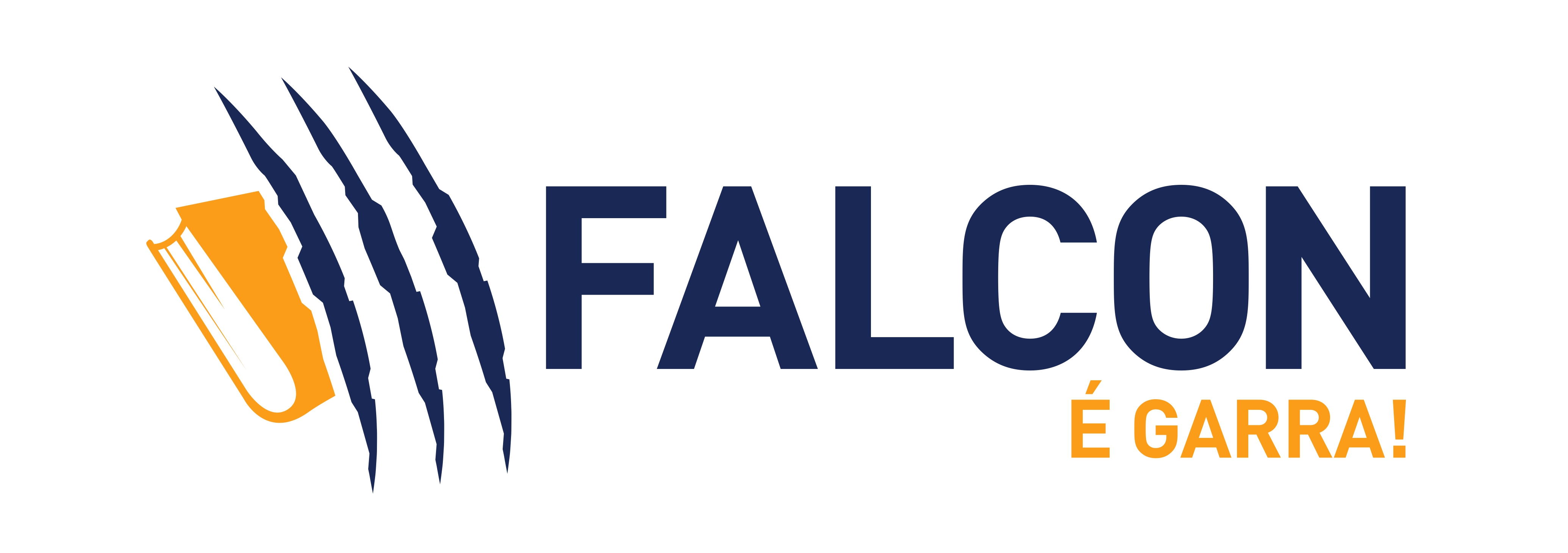 Falcon Cursos Preparatórios